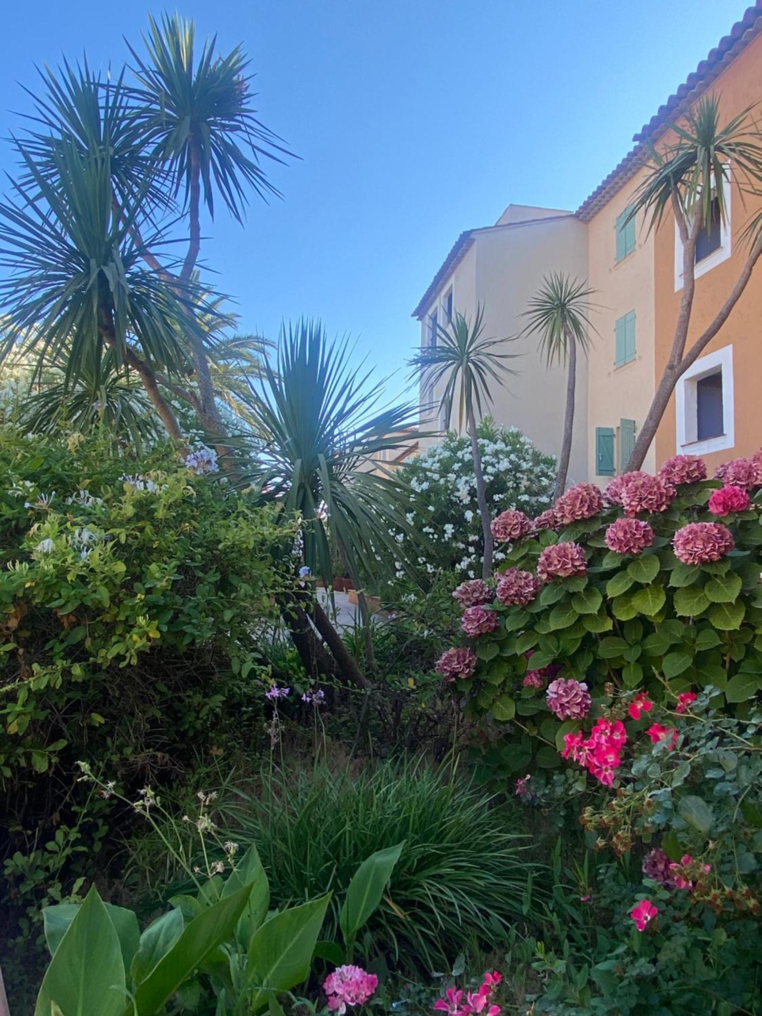 2 Bedrooms, 15 Min Walk To Beach, Ac, Pool & Fiber Internet In A Quiet, Private Gated Domain 5Kms To St Tropez Cogolin Exterior photo